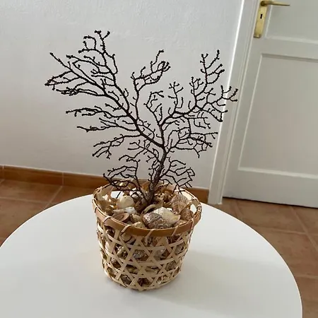 El Coral Caleta de Caballo